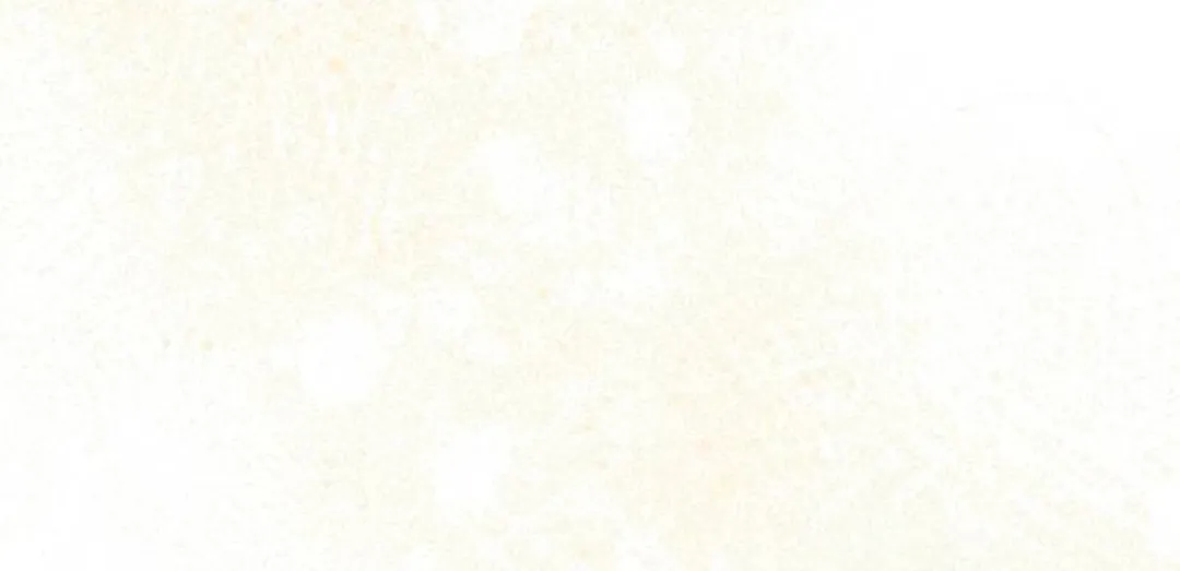 9 CHICO MALO, PERO INOCENTE