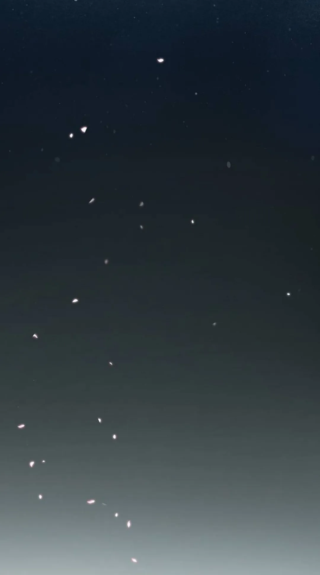 115 CHICO MALO, PERO INOCENTE