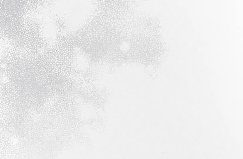 22 CHICO MALO, PERO INOCENTE