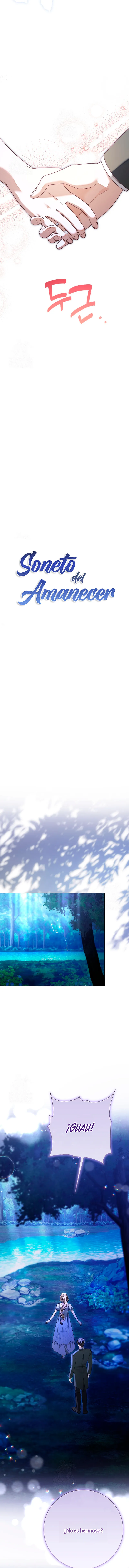 1 Soneto Del Amanecer