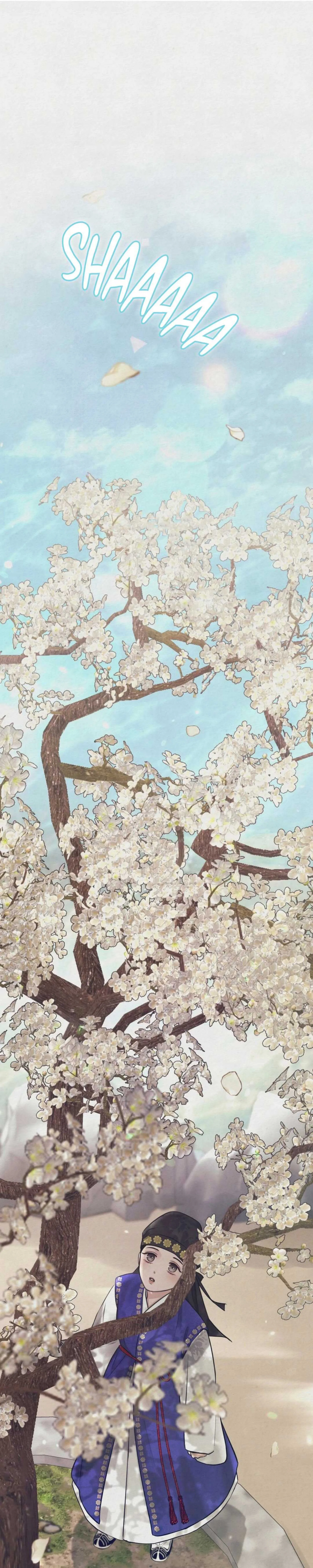 13 La contramaldicion