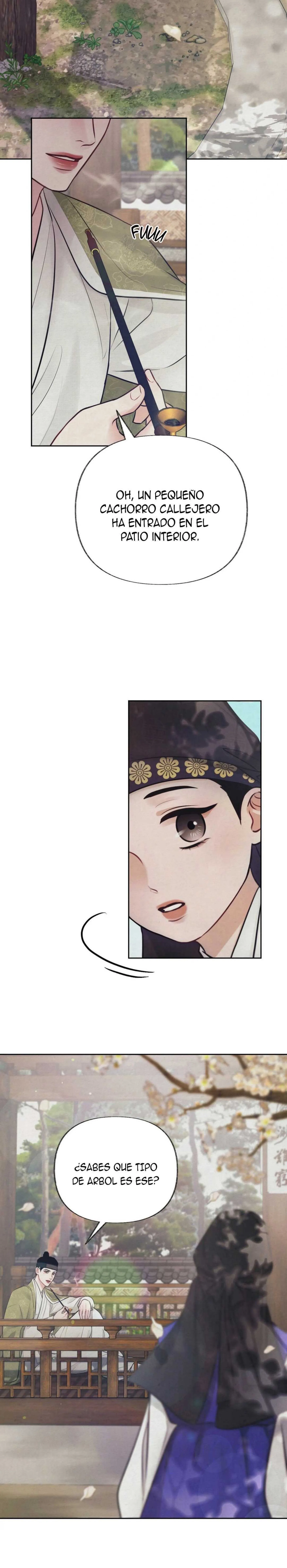 14 La contramaldicion