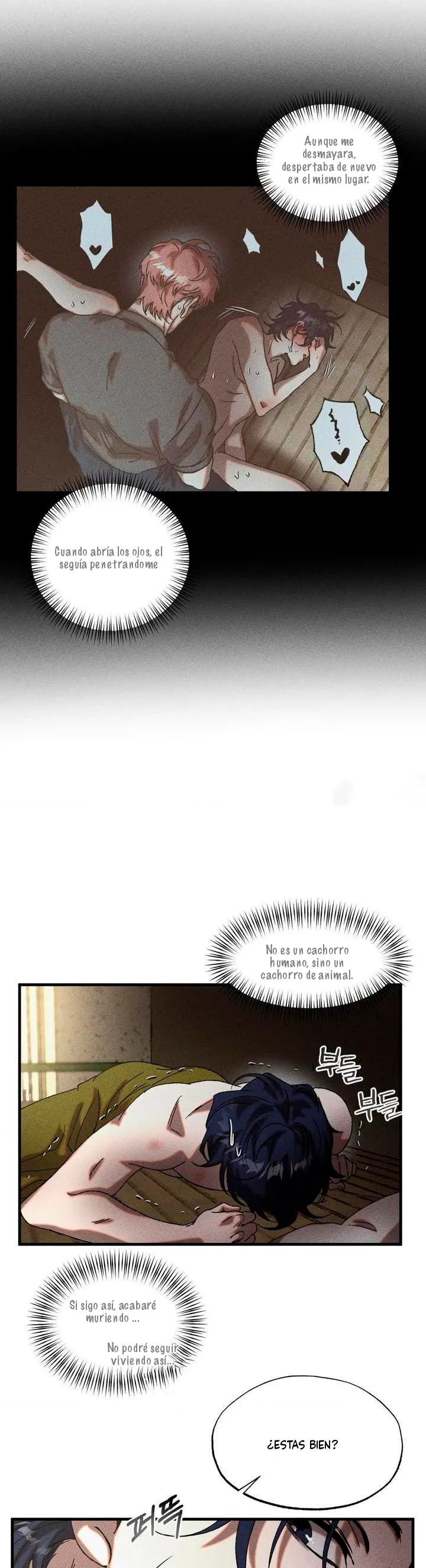 16 Efectivo o crédito