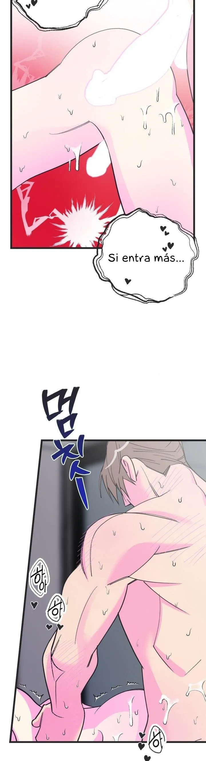 12 Batalla ofensiva y defensiva