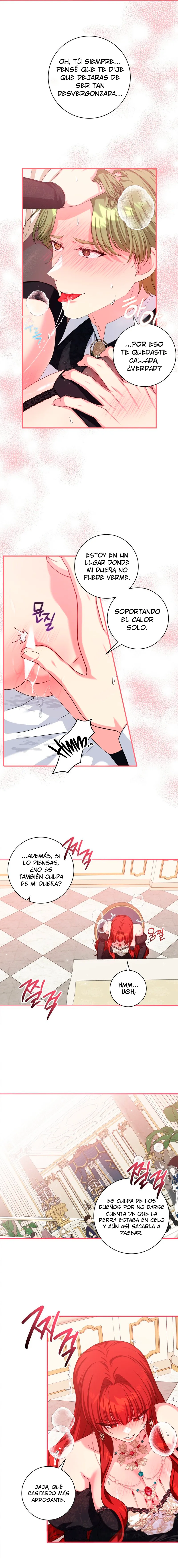 6 ¿Puedo ser un esclavo sexual y no un sacerdote?