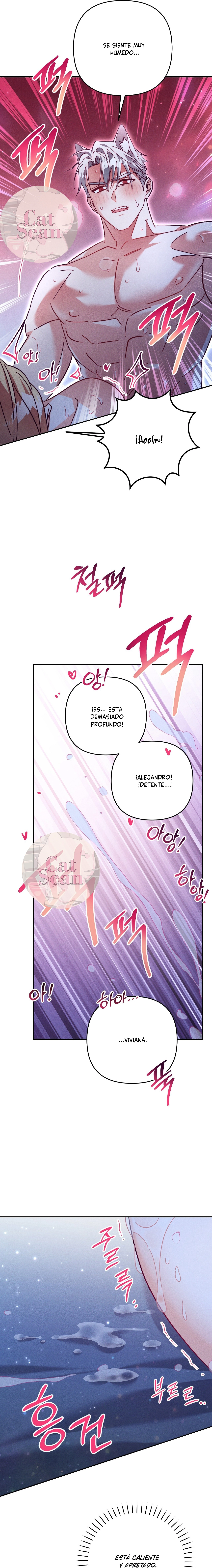 11 El secreto del duque lobo