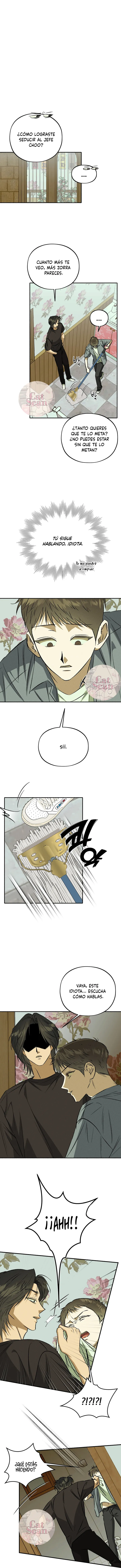 5 Espíritu recolector