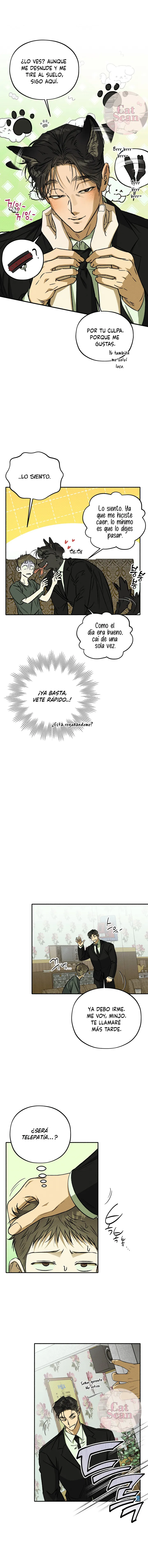 3 Espíritu recolector