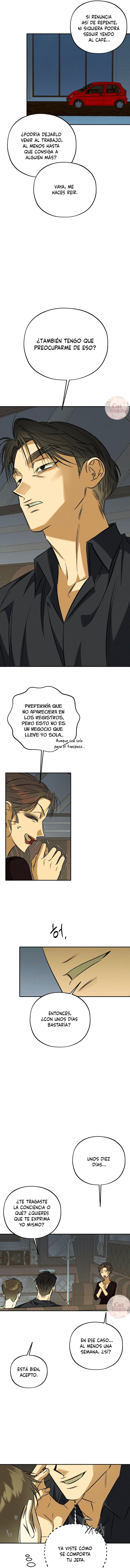 7 Espíritu recolector