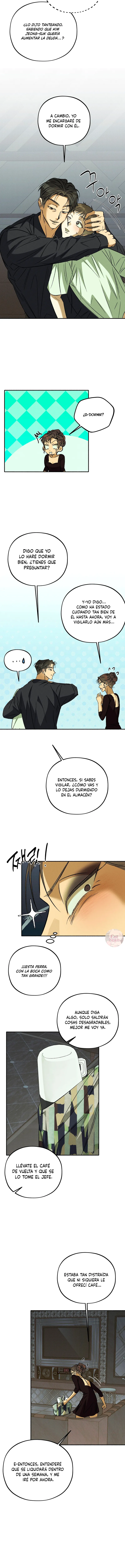 8 Espíritu recolector