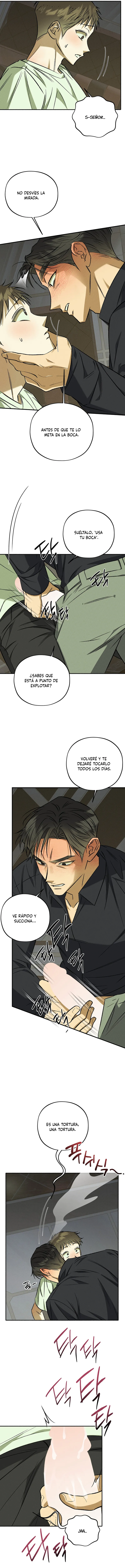 3 Espíritu recolector