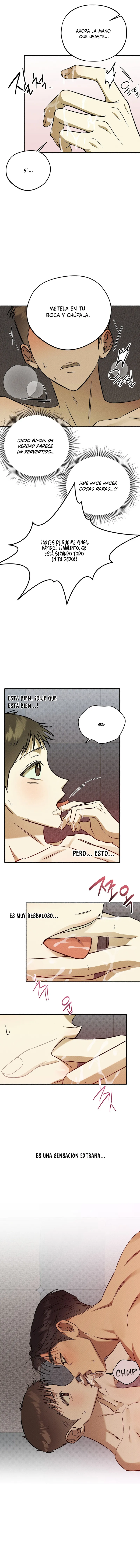 6 Espíritu recolector