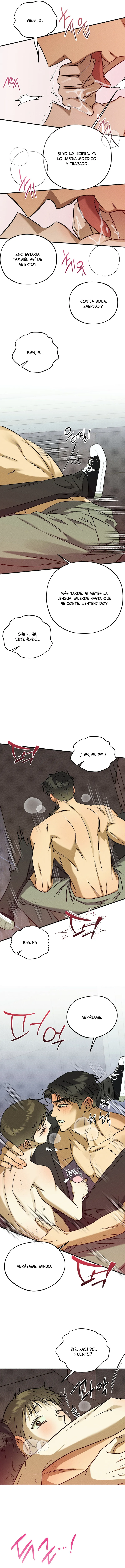 7 Espíritu recolector