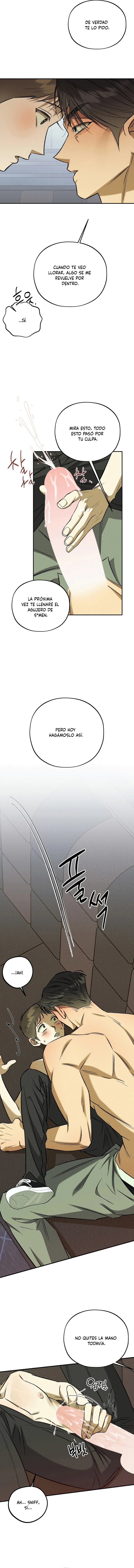 4 Espíritu recolector