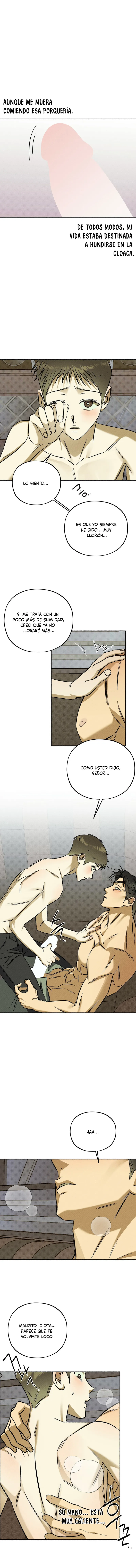 1 Espíritu recolector