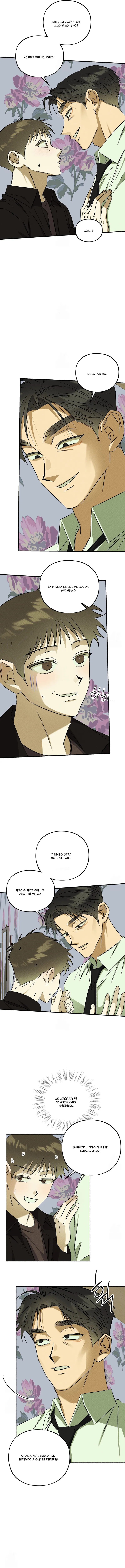 9 Espíritu recolector