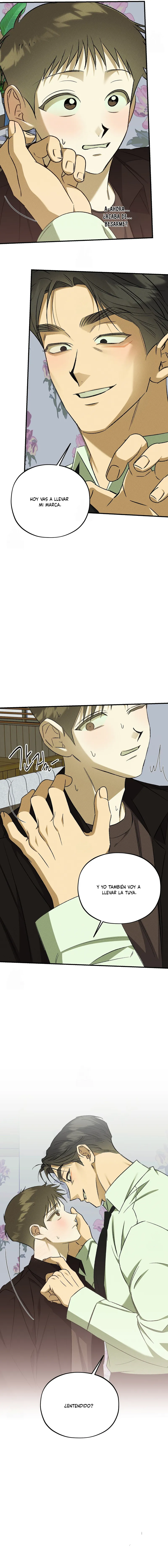 11 Espíritu recolector