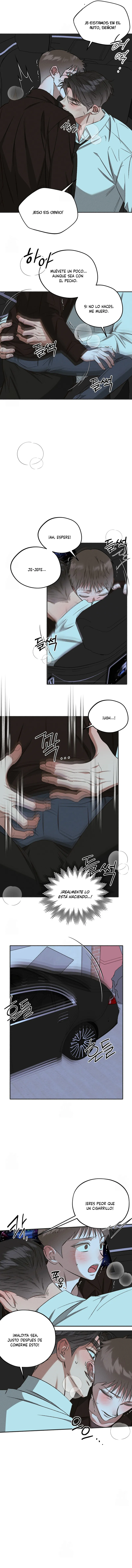 2 Espíritu recolector