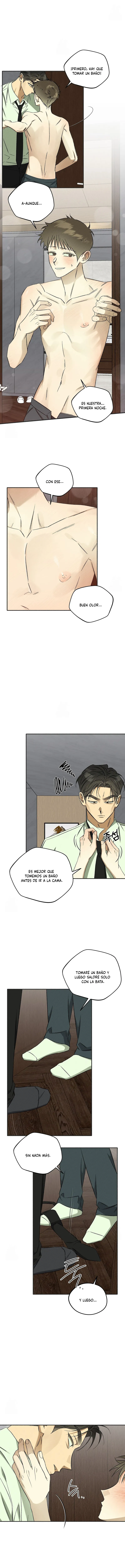 8 Espíritu recolector