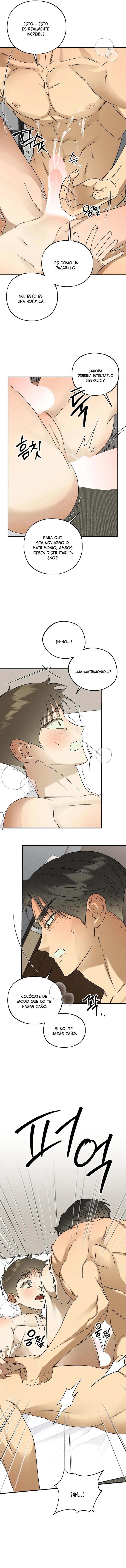 8 Espíritu recolector