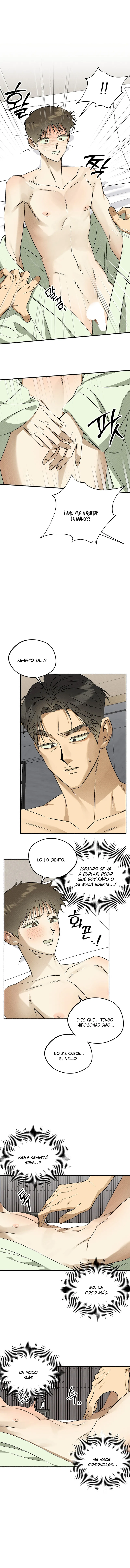 2 Espíritu recolector