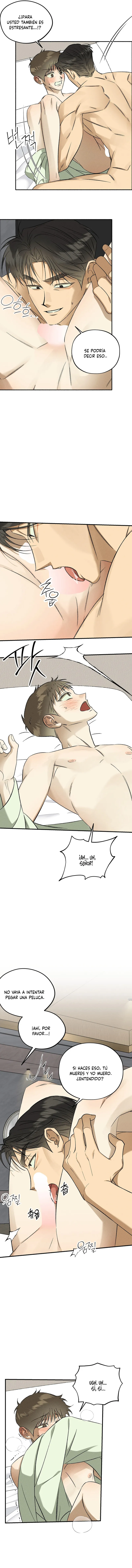 3 Espíritu recolector