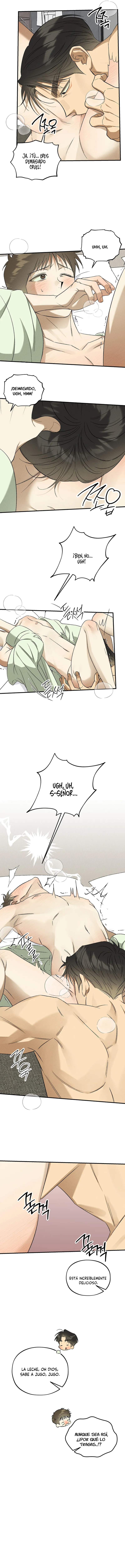 4 Espíritu recolector