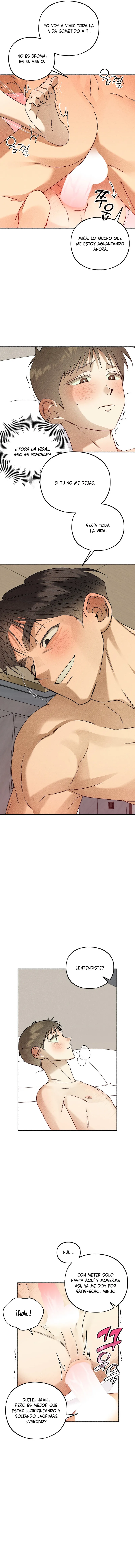 1 Espíritu recolector