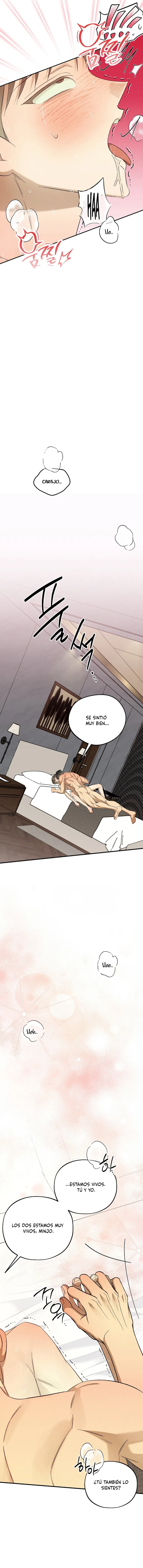 10 Espíritu recolector