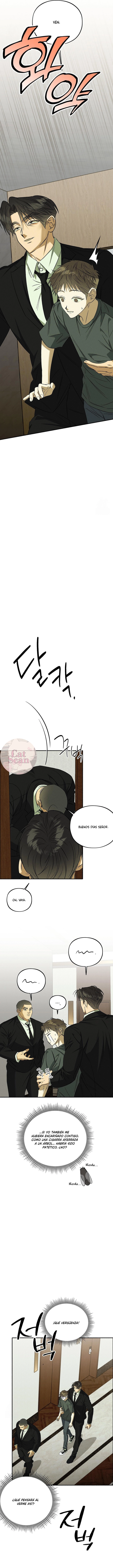 1 Espíritu recolector