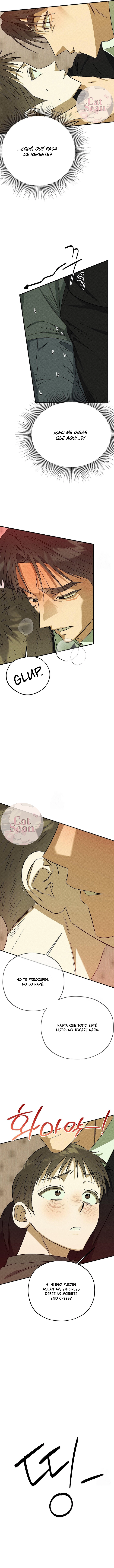 3 Espíritu recolector