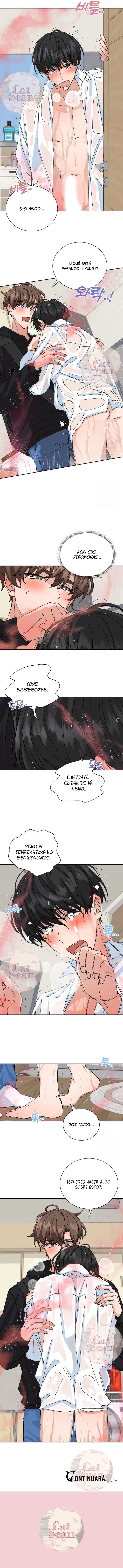 7 Selección especial para recién casados