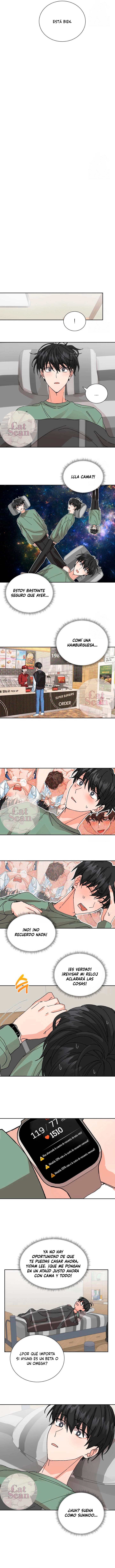 7 Selección especial para recién casados