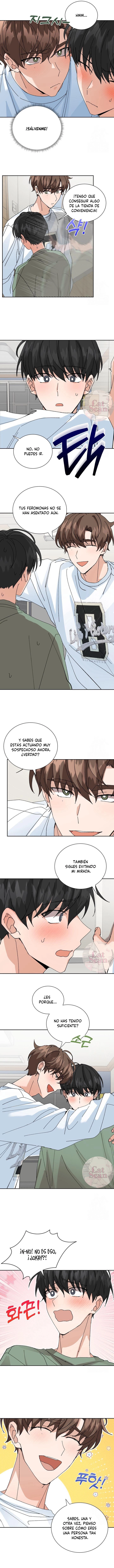 1 Selección especial para recién casados