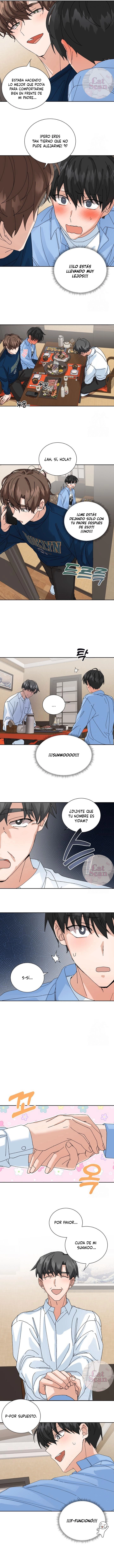 4 Selección especial para recién casados