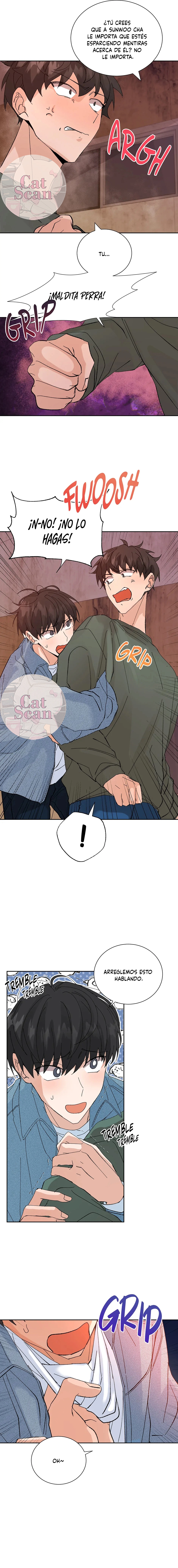 3 Selección especial para recién casados