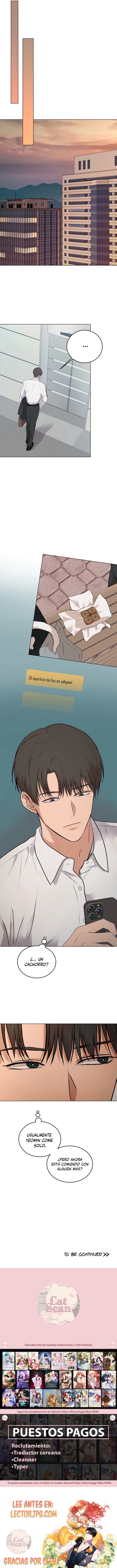 4 Galletas de Coqueteo