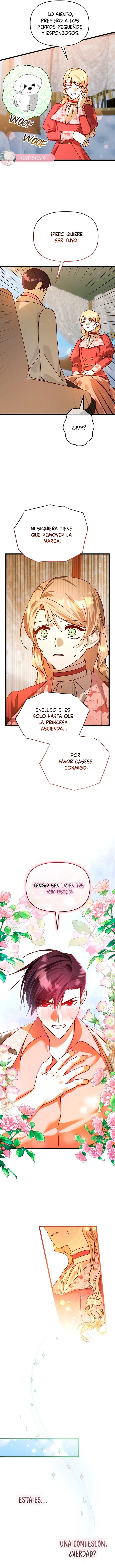 11 Conquistaré a las bestias rebeldes