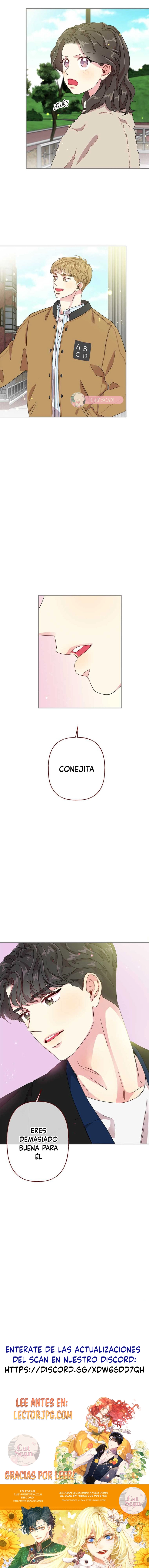 5 Bunny y sus chicos