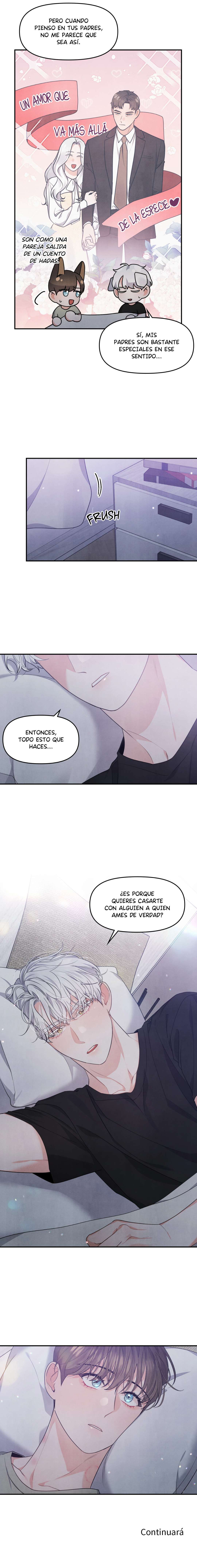 3 Cachorros Para La Eternidad