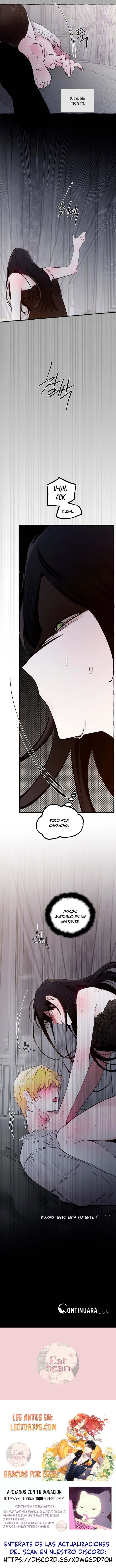 9 Dome al perro del palacio