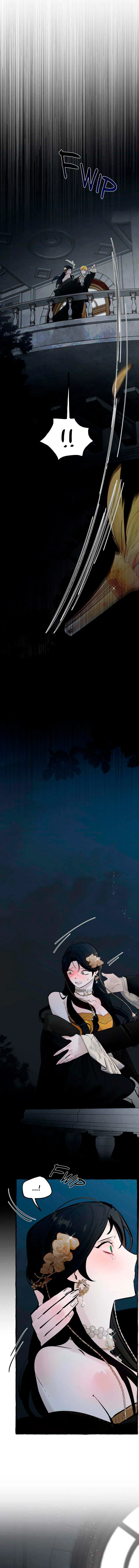 6 Dome al perro del palacio