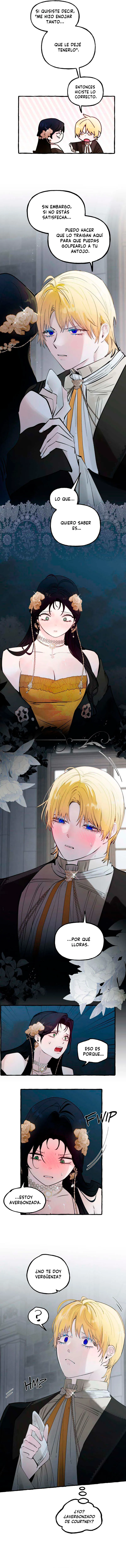 3 Dome al perro del palacio