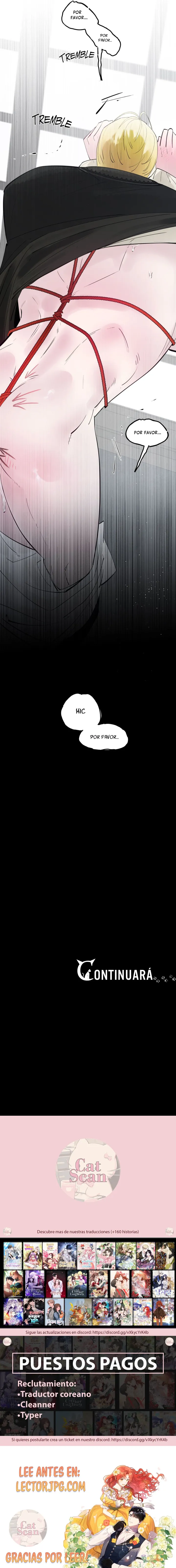 7 Dome al perro del palacio