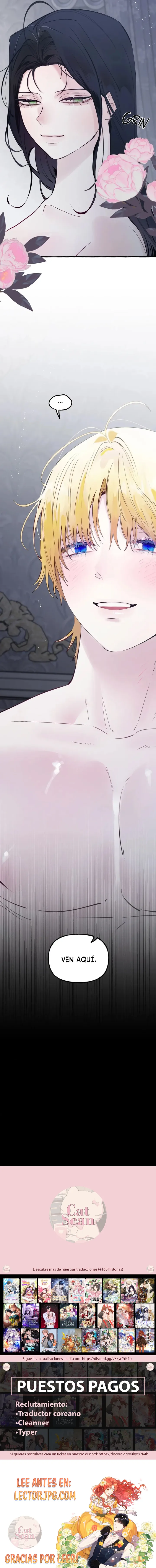 8 Dome al perro del palacio