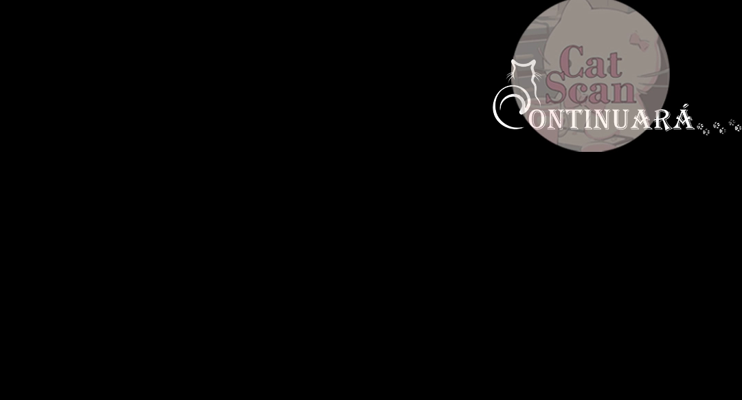 11 Dome al perro del palacio