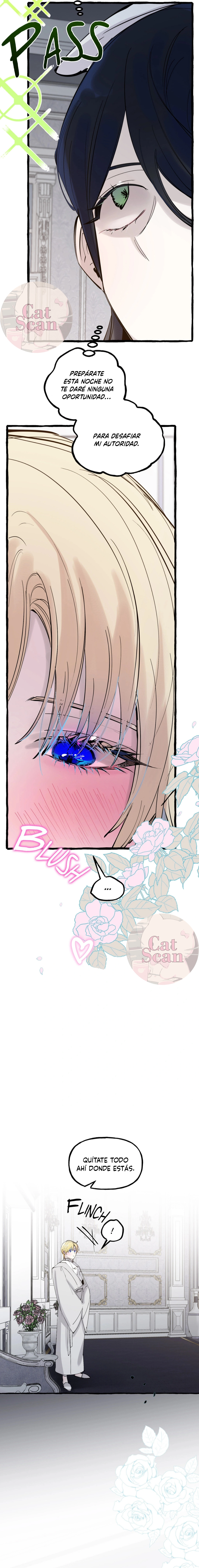 9 Dome al perro del palacio