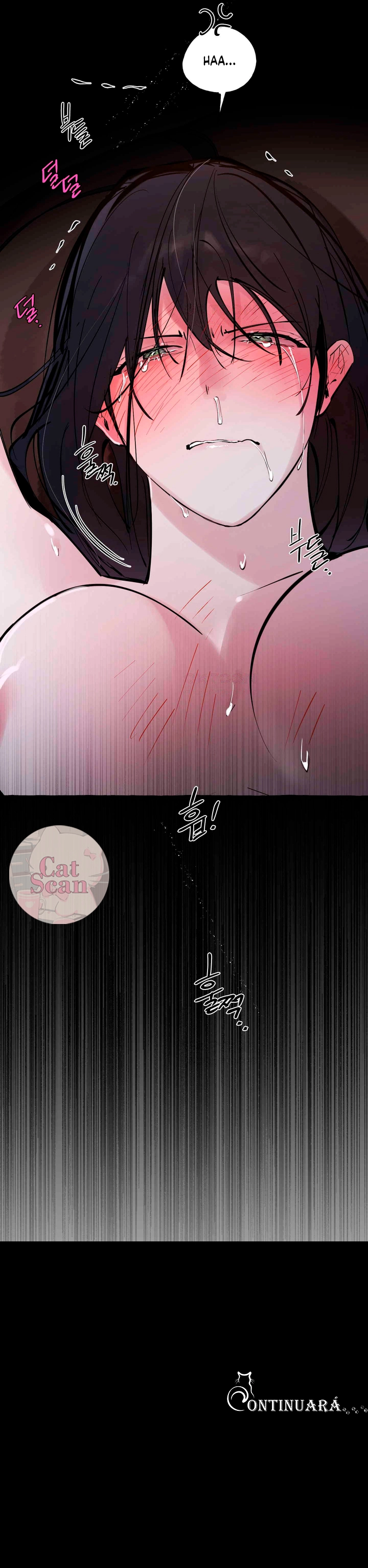 7 Dome al perro del palacio