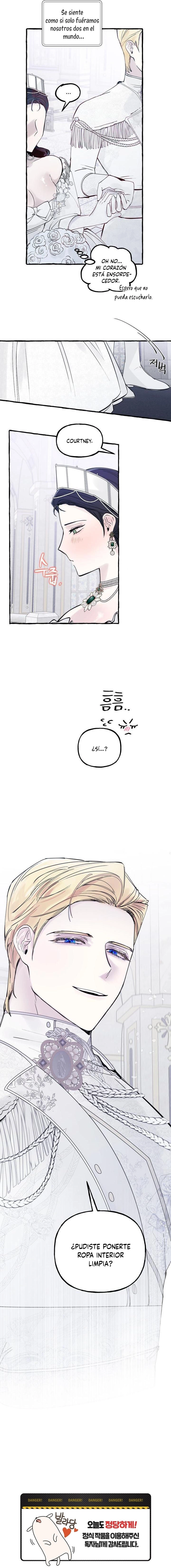 6 Dome al perro del palacio