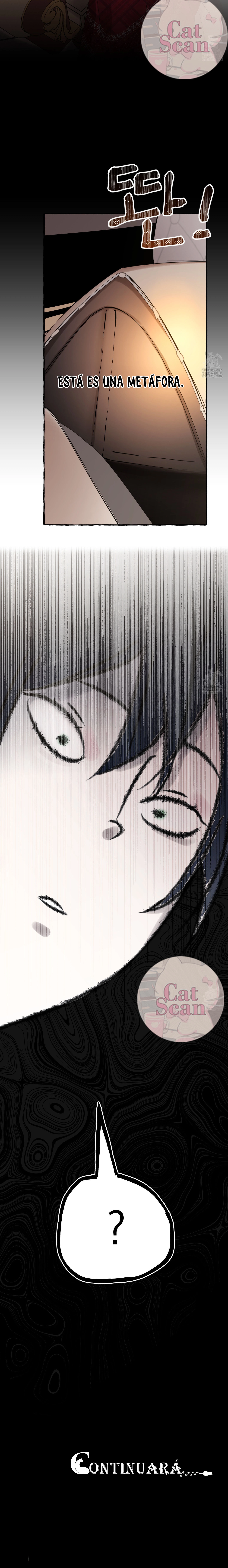 14 Dome al perro del palacio